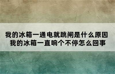 我的冰箱一通电就跳闸是什么原因 我的冰箱一直响个不停怎么回事